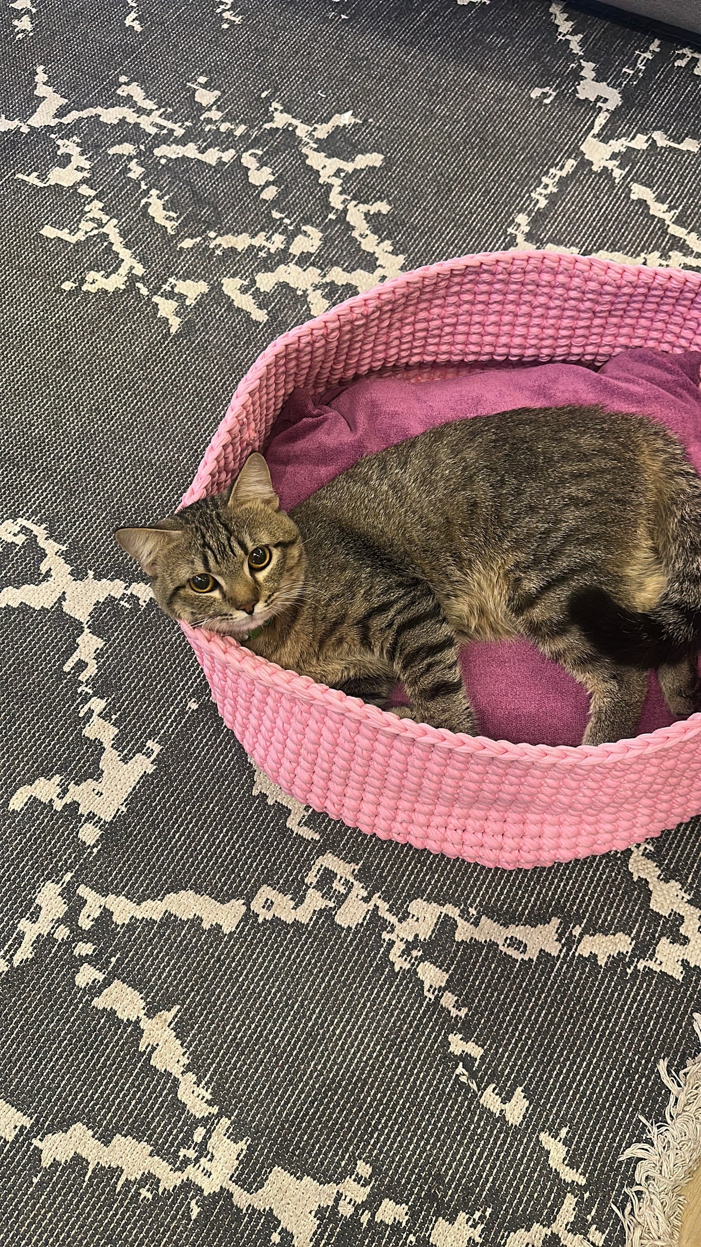Pet bed