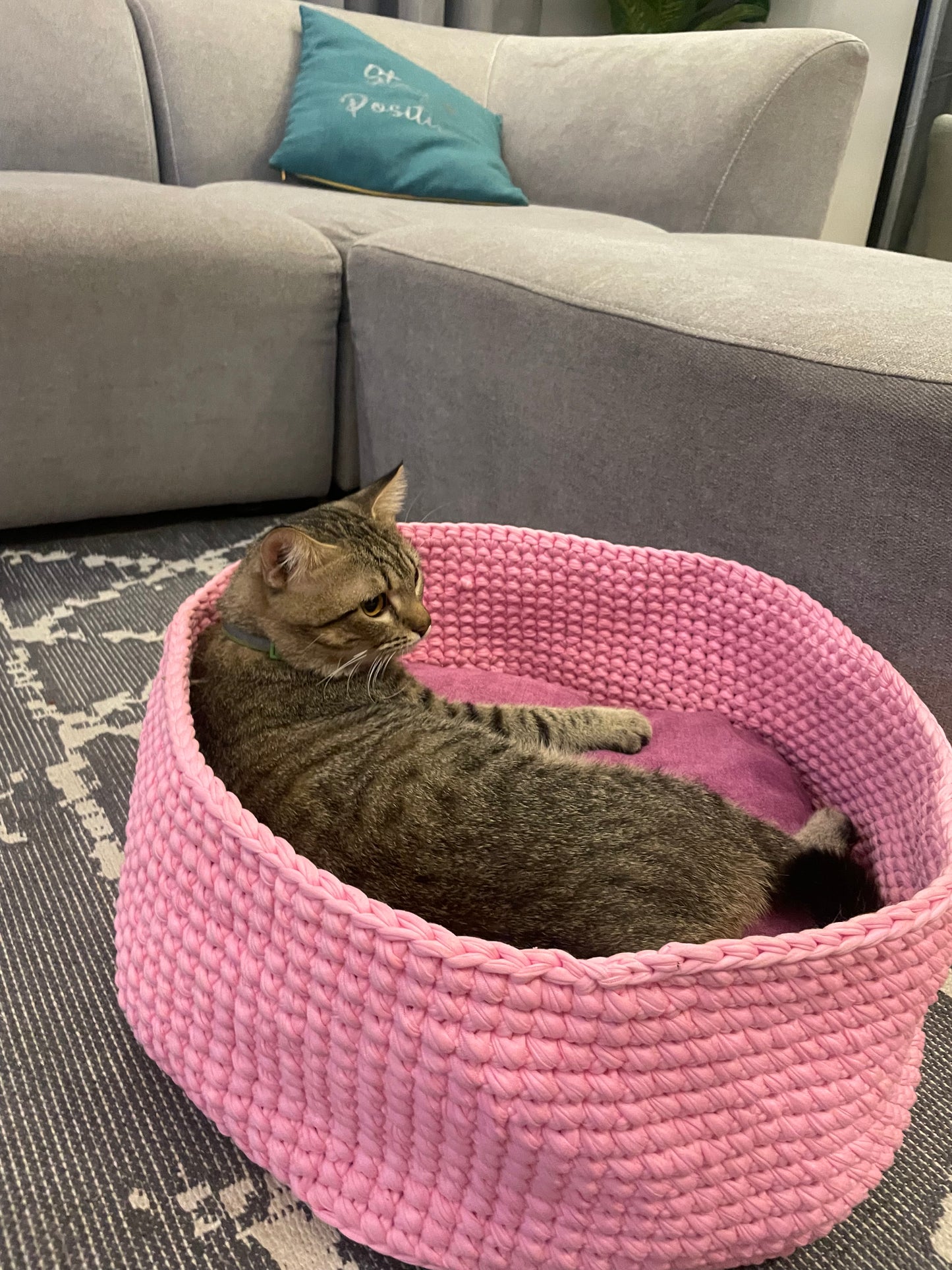 Pet bed