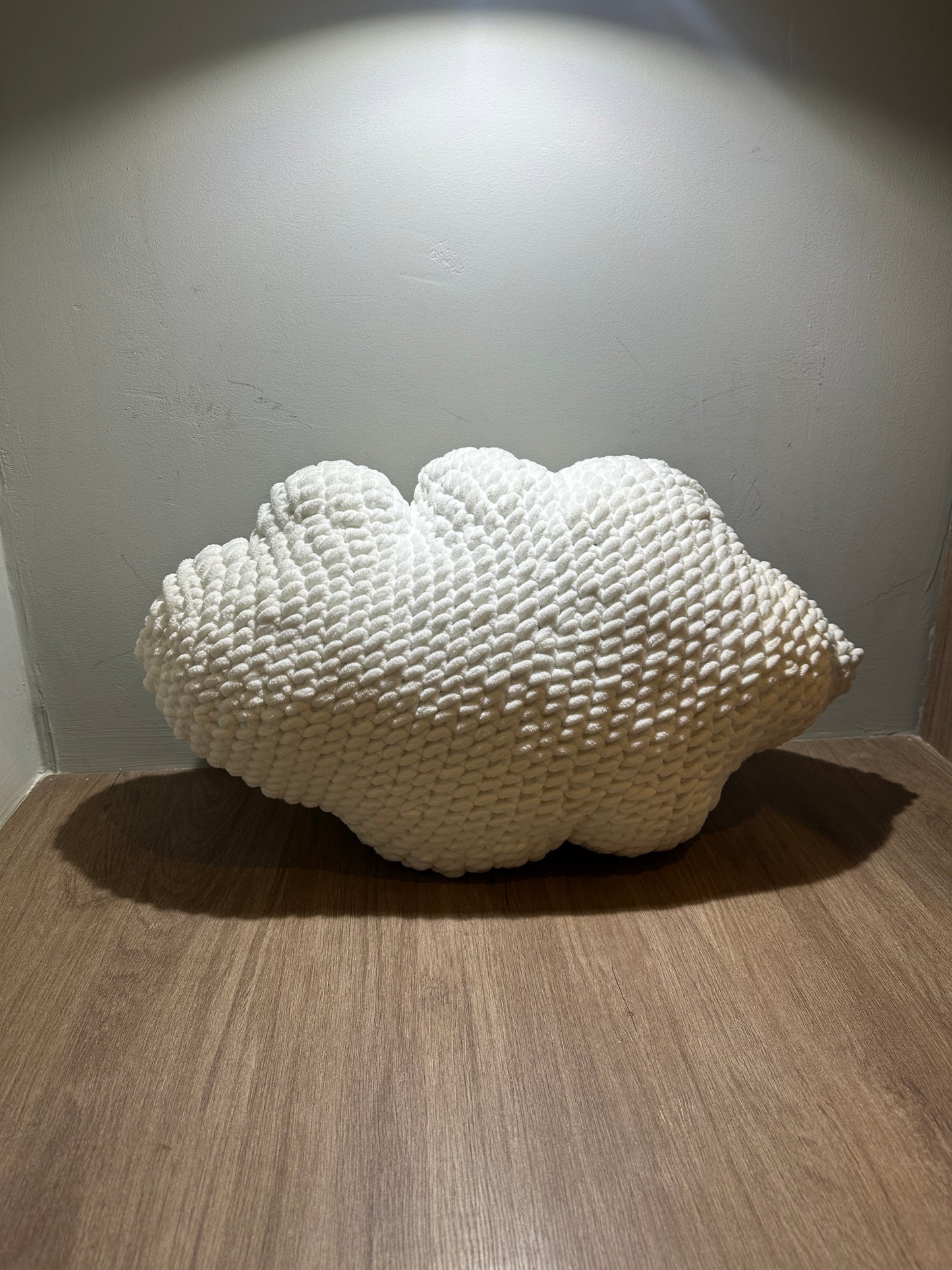 Cloud