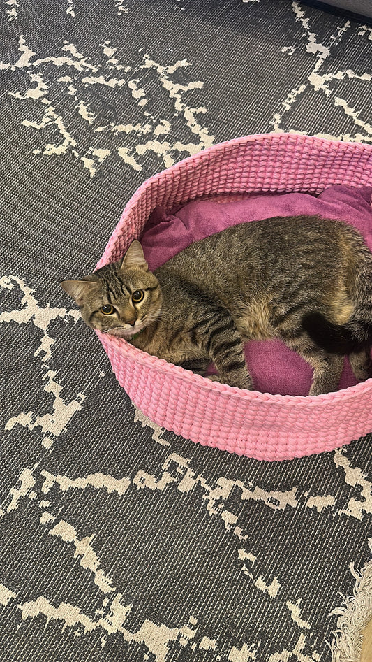 Pet bed